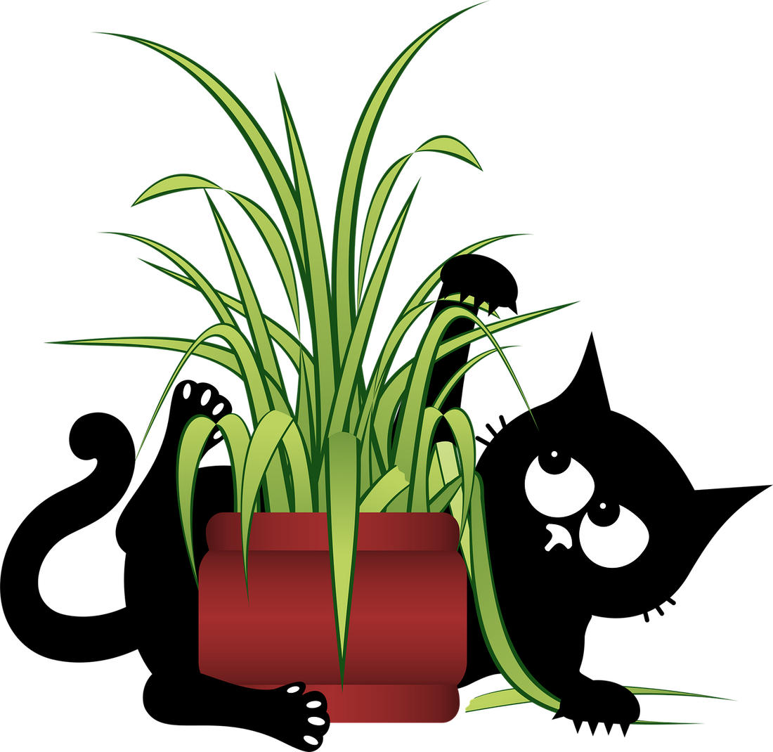 Comment jouer avec son chat quand on manque de temps ?