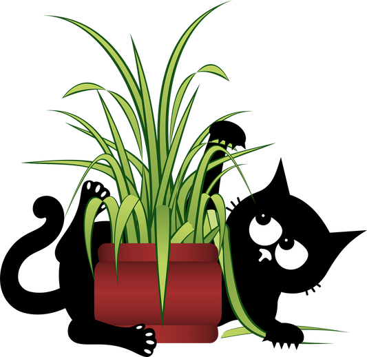 Comment jouer avec son chat quand on manque de temps ?