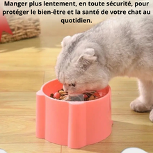 Bol anti-glouton pour chats à Col Haut