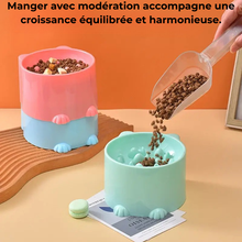 Bol anti-glouton pour chats à Col Haut