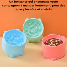 Bol anti-glouton pour chats à Col Haut