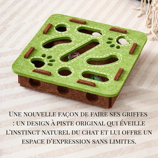 Puzzle Interactif pour Chat ludique