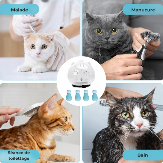 kit de toilettage pour chat - pour le quotidien