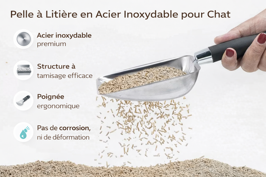 Pelle à Litière en Acier Inoxydable pour Chat