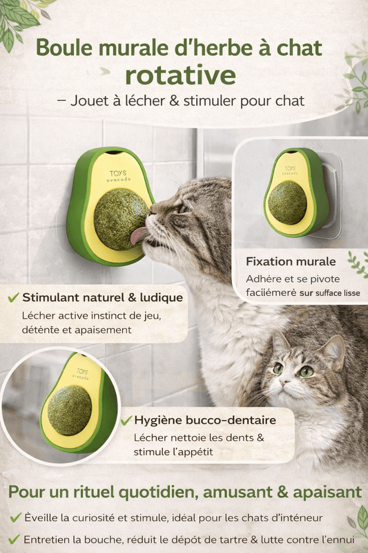 Boule murale d’herbe à chat rotative – Jouet à lécher & stimuler pour chat