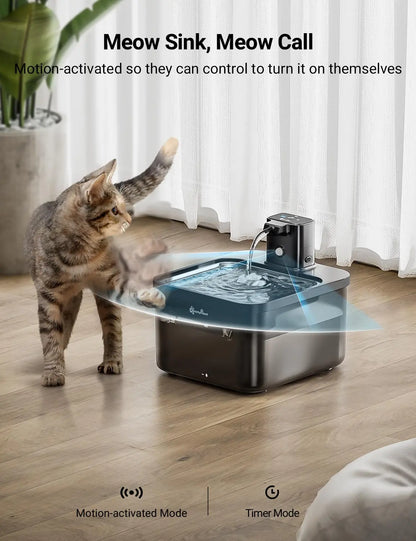 Fontaine à eau 2,5 L en acier inoxydable pour chats
