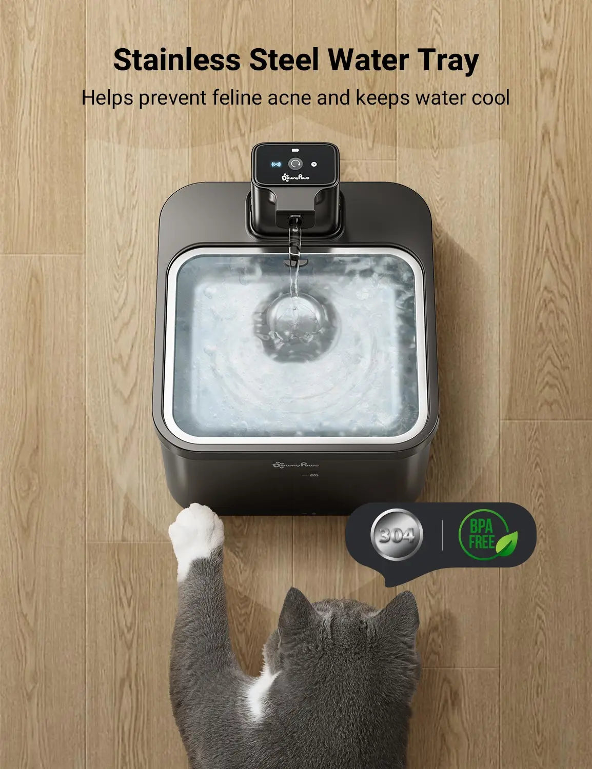 Fontaine à eau 2,5 L en acier inoxydable pour chats