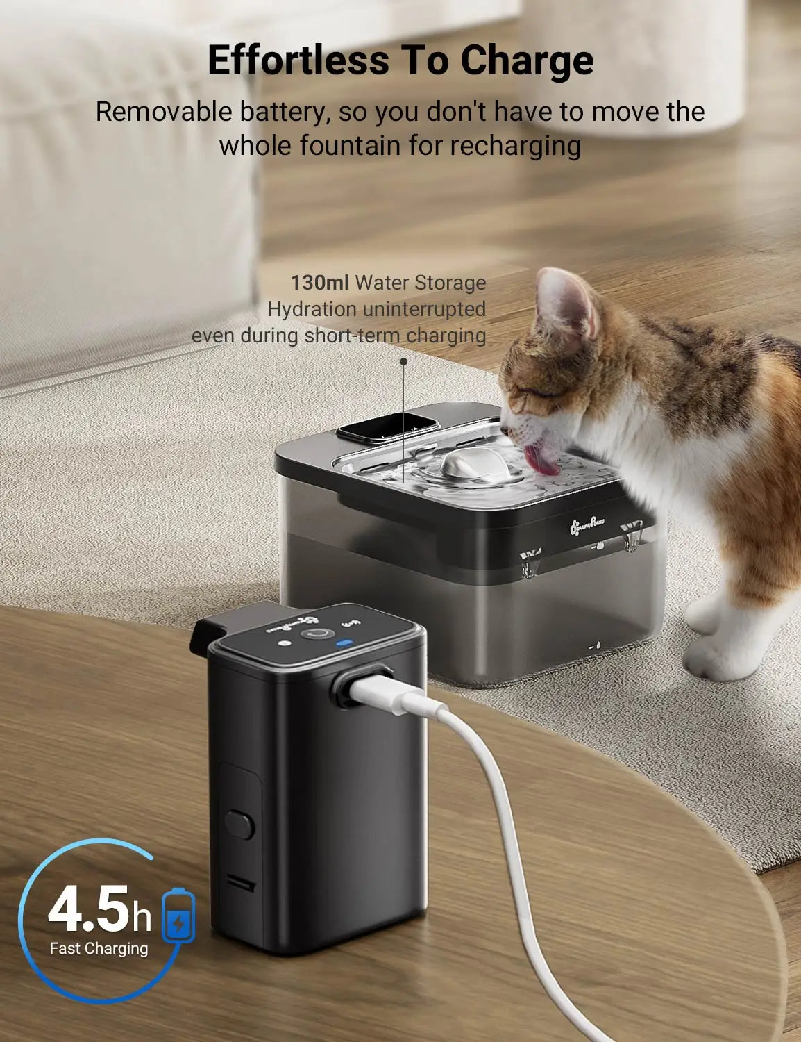 Fontaine à eau 2,5 L en acier inoxydable pour chats