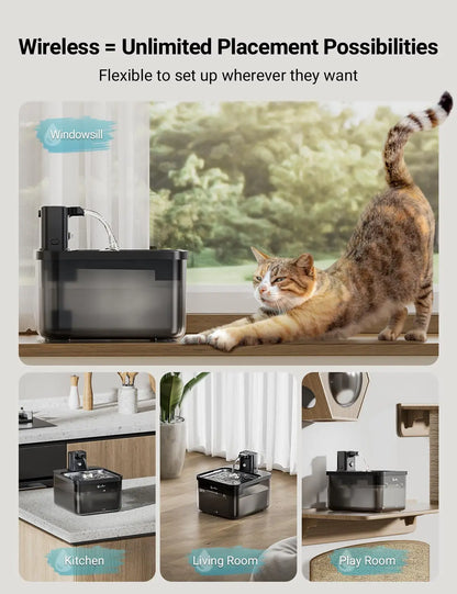 Fontaine à eau 2,5 L en acier inoxydable pour chats