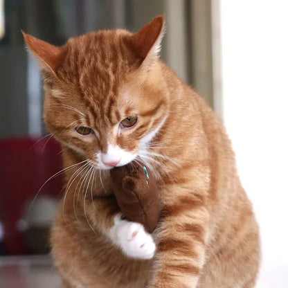 Jouet en Peluche avec Bruit de Papier pour Chats – Résistant & Interactif