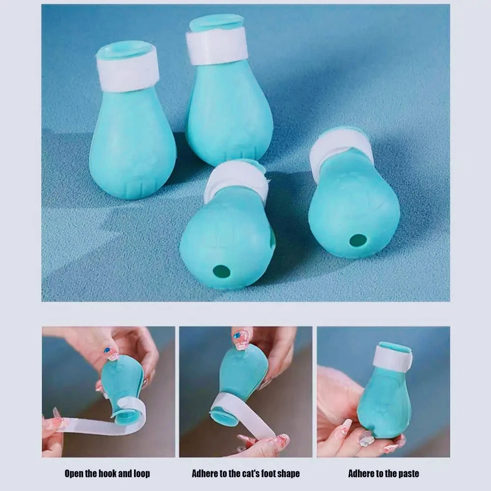 Kit de toilettage pour chat