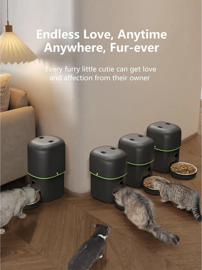Distributeur automatique Furpipi pour chats