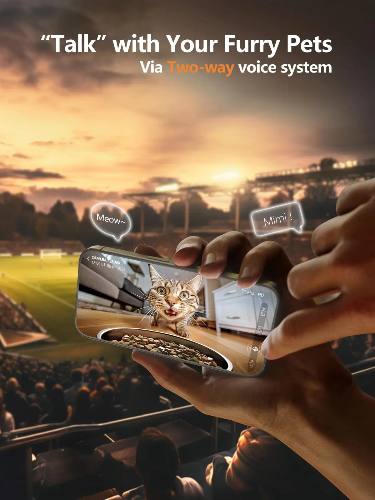 Distributeur automatique Furpipi pour chats