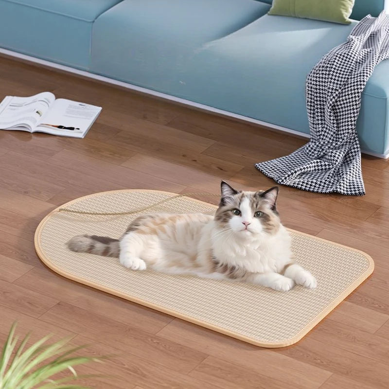 Tapis à Gratter en Sisal pour Chat