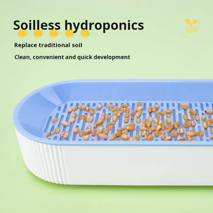 Boîte hydroponique d’herbe à chat