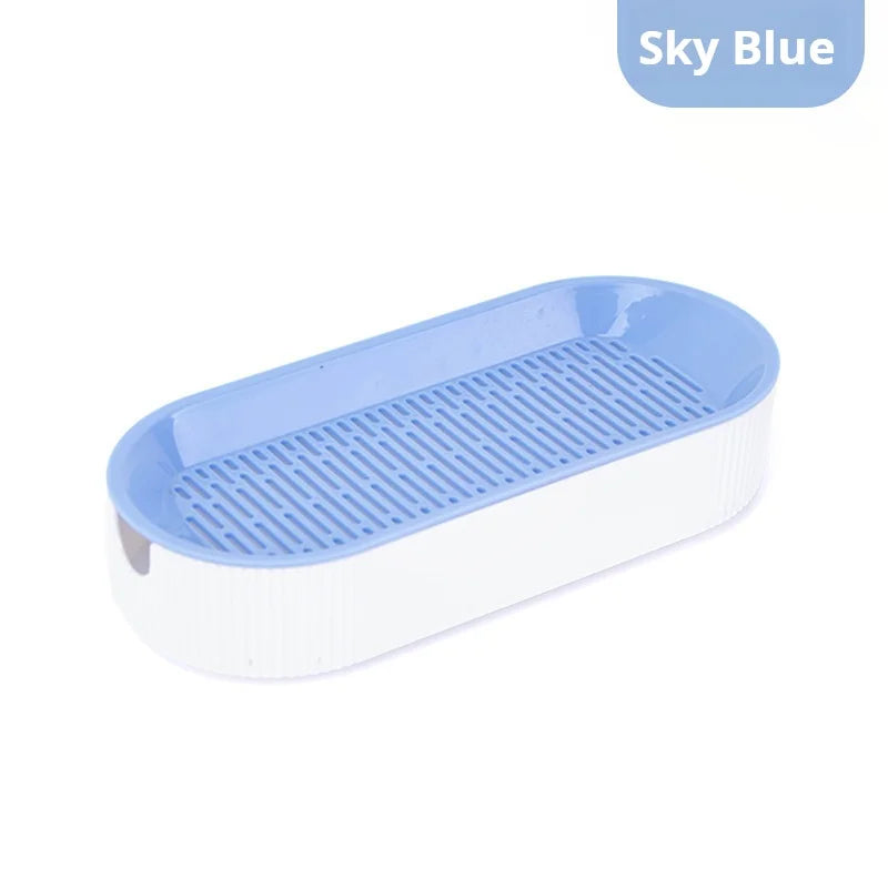 Boîte hydroponique d’herbe à chat