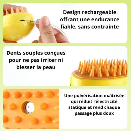 Brosse vapeur 3-en-1 pour chats