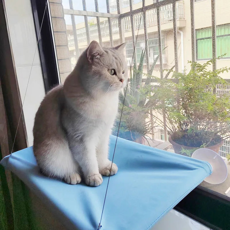 Hamac suspendu pour chat