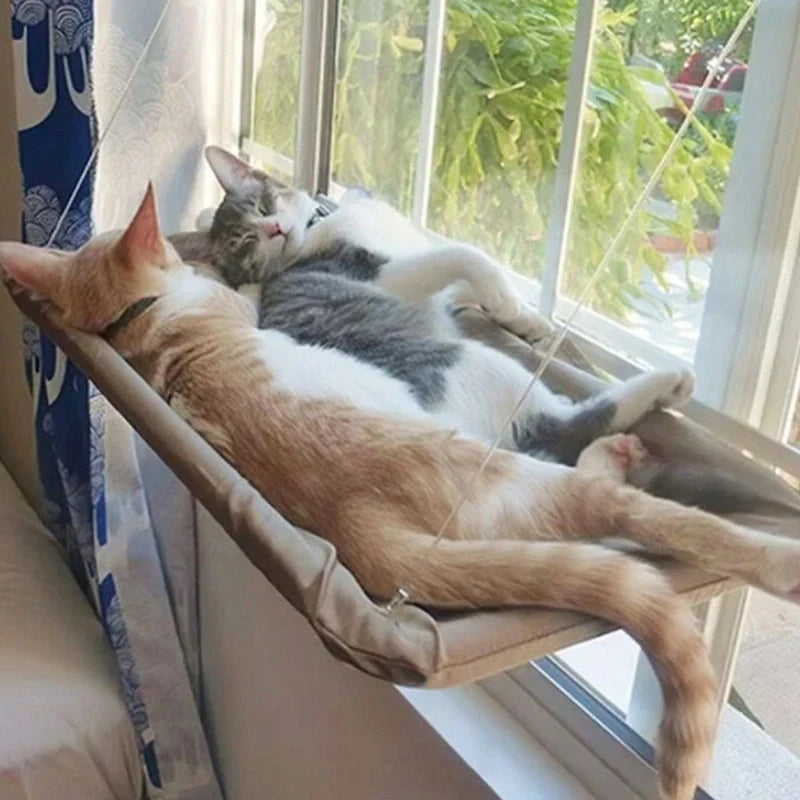 Hamac pliable pour chat