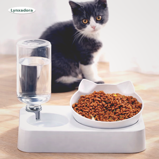 Gamelle avec Distributeur d’Eau pour Chats