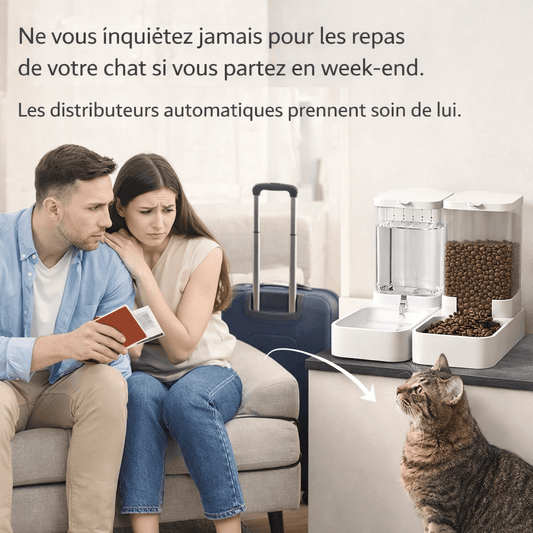 Mangeoire automatique pour chat avec distributeur d’eau par gravité